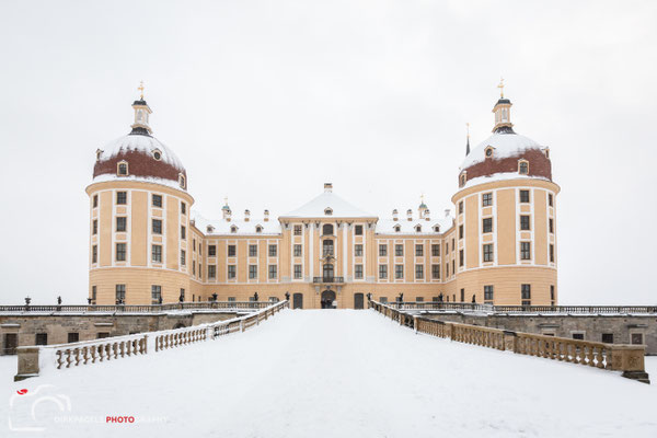 Schloss Moritzburg, bekannt aus Drei Haselnüsse für Aschenbrödel, im Schneesturm, Foto: Dirk Pagels, Fotograf in Teltow, Kleinmachnow, Stahnsdorf, Potsdam, Berlin, Bundes- Weltweit