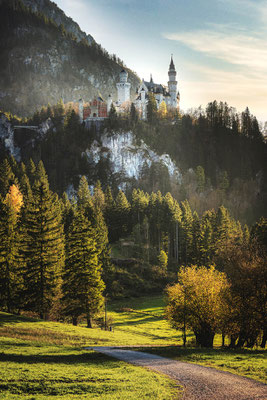 Schloss Neuschwanstein, Bayern 2024, Foto: Dirk Pagels, Fotograf in Teltow, Kleinmachnow, Stahnsdorf, Potsdam, Berlin, Bundes- Weltweit
