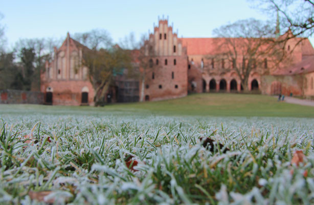 Kloster Chorin 2015, Foto: Dirk Pagels, Fotograf in Teltow, Kleinmachnow, Stahnsdorf, Potsdam, Berlin, Bundes- Weltweit
