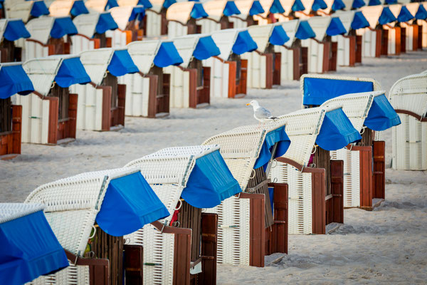 Strandkörbe in Grömitz, Foto: Dirk Pagels, Fotograf in Teltow, Kleinmachnow, Stahnsdorf, Potsdam, Berlin, Bundes- Weltweit