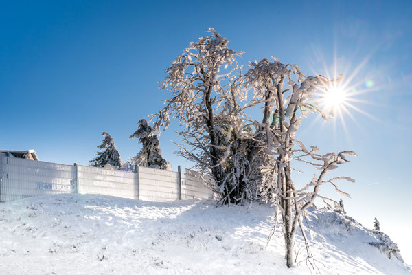 Januar 2019 auf dem Wurmberg in Braunlage, Foto: Dirk Pagels, Fotograf in Teltow, Kleinmachnow, Stahnsdorf, Potsdam, Berlin, Bundes- Weltweit