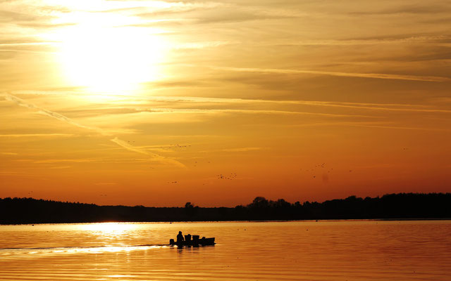 Ein Angler im Boot fährt im Sonnenuntergang auf dem Rangsdorfer See 2014, Foto: Dirk Pagels, Fotograf in Teltow, Kleinmachnow, Stahnsdorf, Potsdam, Berlin, Bundes- Weltweit