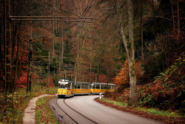 Kirnitzschtalbahn Bad Schandau 2021, Foto: Dirk Pagels, Teltow