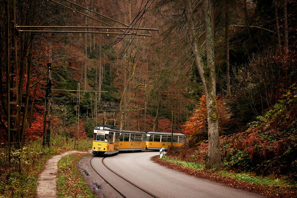 Kirnitzschtalbahn Bad Schandau 2021, Foto: Dirk Pagels, Fotograf in Teltow, Kleinmachnow, Stahnsdorf, Potsdam, Berlin, Bundes- Weltweit