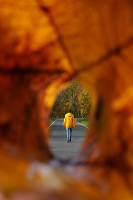 Herbststimmung, Foto: Dirk Pagels, Teltow