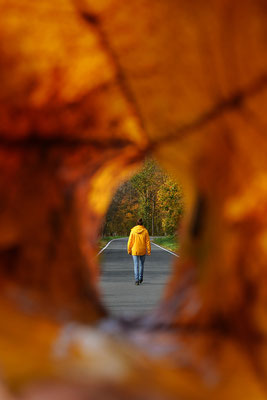 Herbststimmung, Foto: Dirk Pagels, Fotograf in Teltow, Kleinmachnow, Stahnsdorf, Potsdam, Berlin, Bundes- Weltweit