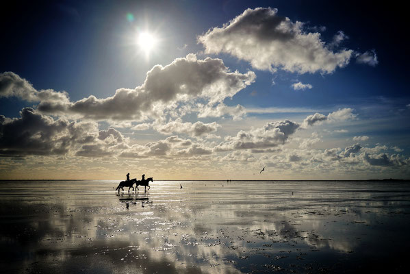 Pferde in der Nordsee, Cuxhaven 2020, Foto: Dirk Pagels, Teltow
