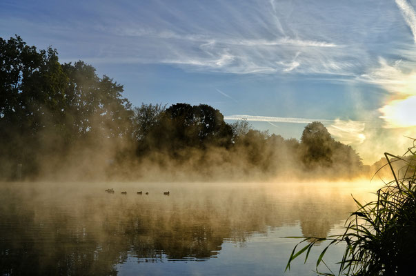 Herbststimmung am Teltowkanal, September 2020, Foto: Dirk Pagels, Fotograf in Teltow, Kleinmachnow, Stahnsdorf, Potsdam, Berlin, Bundes- Weltweit