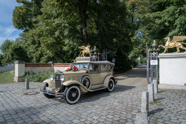 Hochzeit in Potsdam, 2022, Foto: Dirk Pagels, Hochzeitsfotograf in Teltow, Kleinmachnow, Stahnsdorf, Potsdam, Berlin, Bundes- Weltweit