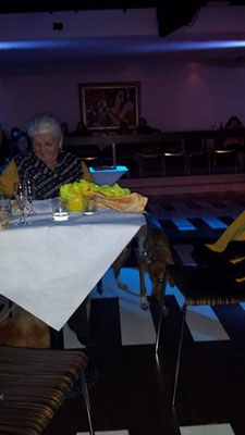 pets sweet home perugia