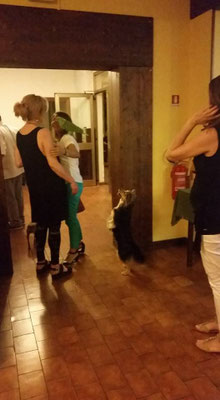 pets sweet home perugia