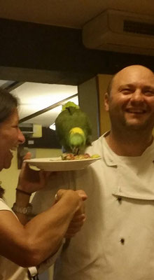 pets sweet home perugia