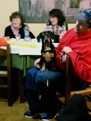 pets sweet home perugia
