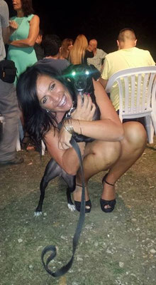 pets sweet home perugia