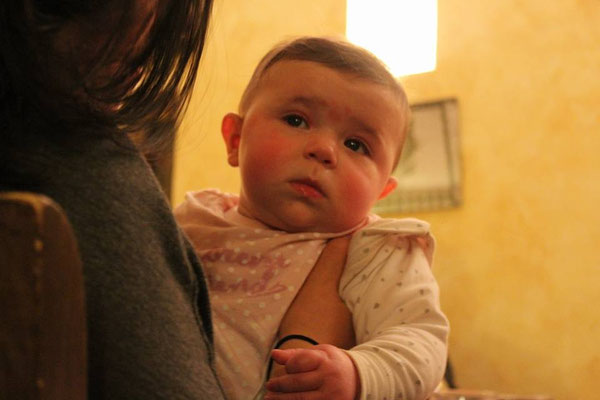 pets weet home perugia