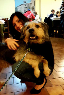 pets sweet home perugia