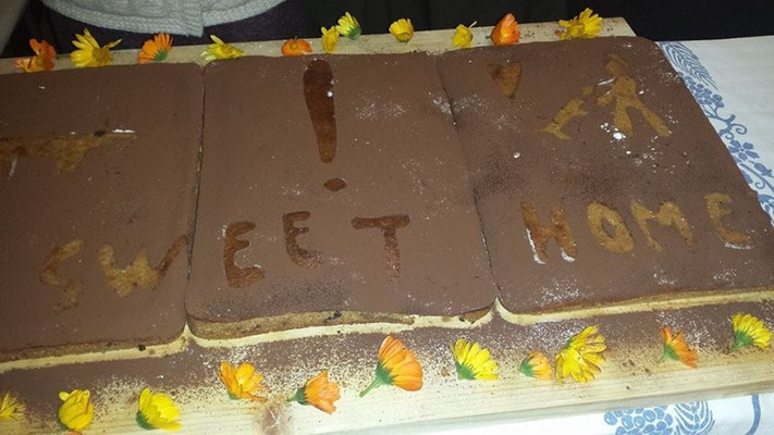 pets sweet home perugia