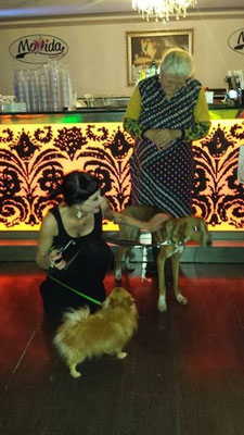 pets sweet home perugia
