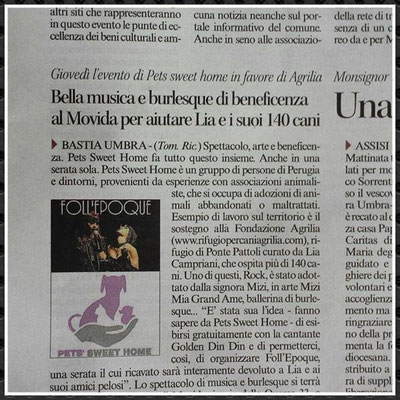 pets sweet home perugia