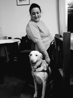 pets sweet home perugia