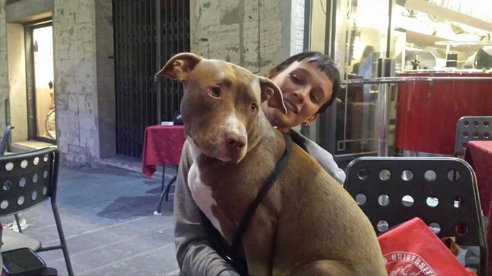 pets sweet home perugia
