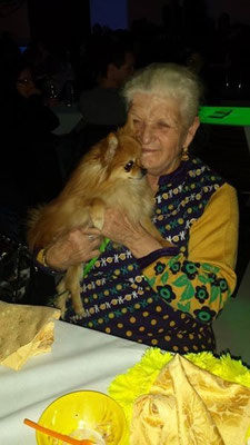 pets sweet home perugia