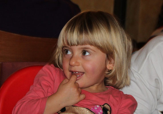 pets weet home perugia