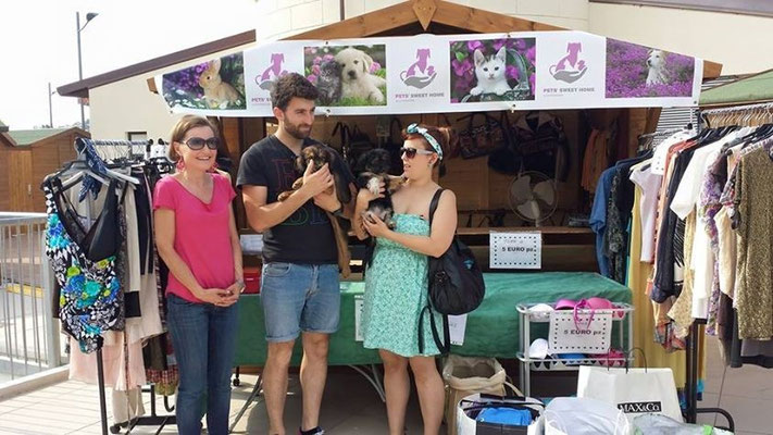 pets sweet home perugia