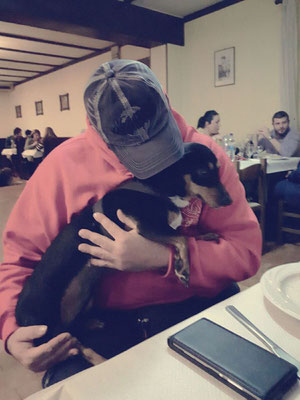 pets sweet home perugia