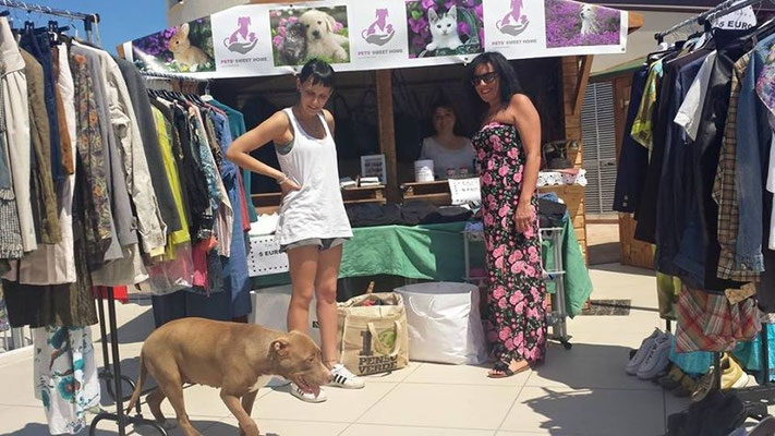 pets sweet home perugia