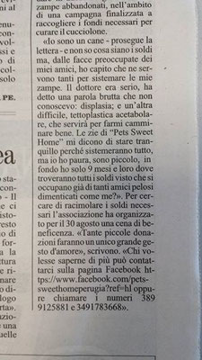pets sweet home perugia