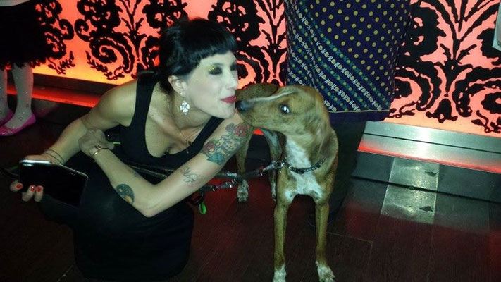 pets sweet home perugia