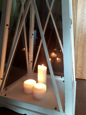pets sweet home perugia