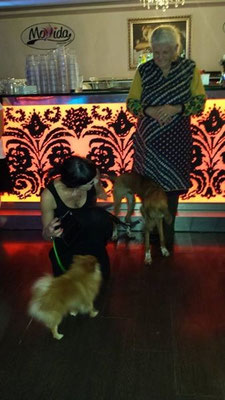 pets sweet home perugia