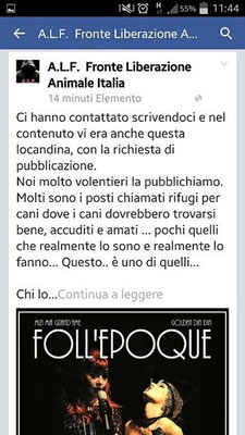 pets sweet home perugia