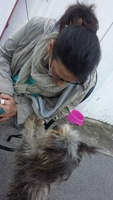 pets sweet home perugia