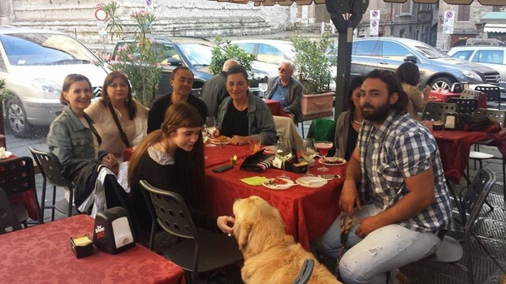 pets sweet home perugia