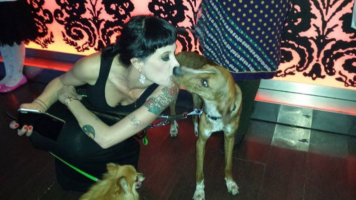 pets sweet home perugia