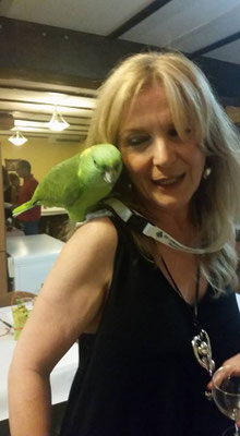 pets sweet home perugia
