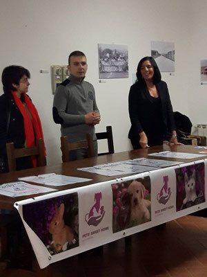 pets sweet home perugia