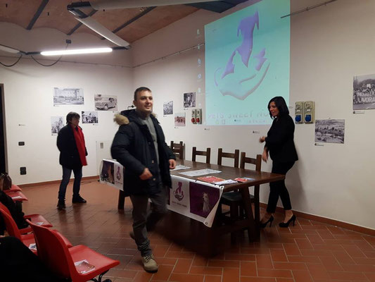 pets sweet home perugia