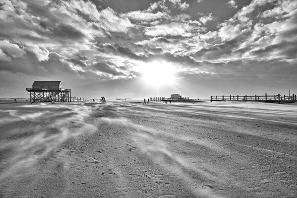 Foto St. Peter Ording, Fotos kaufen, Bilder kaufen, Husum, Nordsee, Seehund, Sonnenuntergang, Westerhever Leuchtturm, Strandsegler St. Peter Ording, Garding, Tating, Tönning, Husum, Sylt, Amrum, Föhr, Nordfriesland, Leinwand, Poster, Nordseefotos