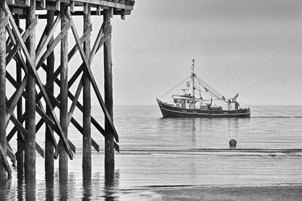 Foto St. Peter Ording, Fotos kaufen, Bilder kaufen, Husum, Nordsee, Seehund, Sonnenuntergang, Westerhever Leuchtturm, Strandsegler St. Peter Ording, Garding, Tating, Tönning, Husum, Sylt, Amrum, Föhr, Nordfriesland, Leinwand, Poster, Nordseefotos