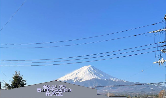 写真1　河口湖から富士山　撮影：杉本悠樹