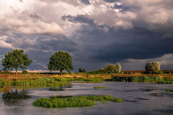 Teich bei Rdegast