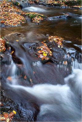 Grobbach, Geroldsau, Baden-Württemberg