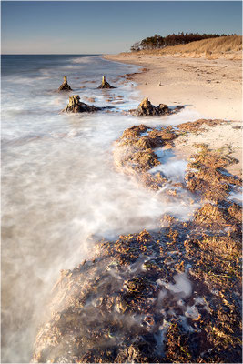 Weststrand, Darß, Mecklenburg-Vorpommern
