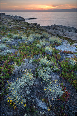 Korsika, Nordküste