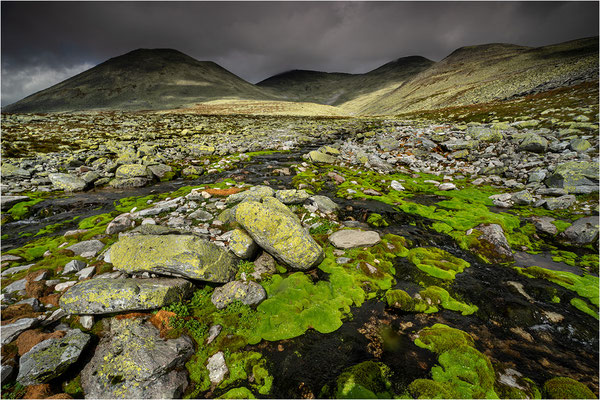Rondane