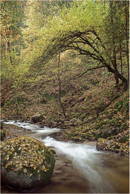 Grobbach, Geroldsau, Baden-Württemberg
